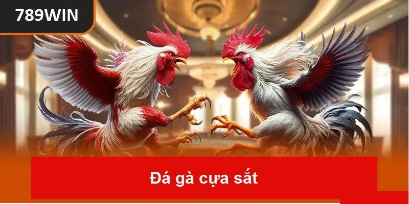 Đá gà cựa sắt